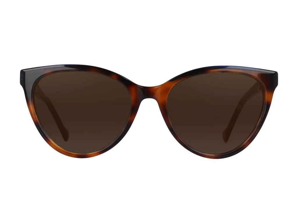 ABV0016S 074 front